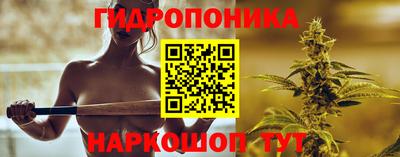 Альфа ПВП Канаш
