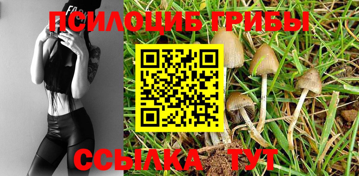 Псилоцибиновые грибы мухоморы Электросталь