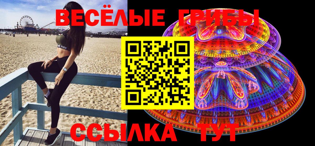 Галлюциногенные грибы Psilocybine cubensis  закладки  Электросталь  Вход с VPN 